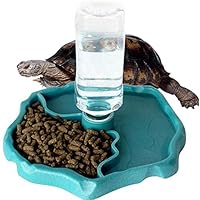 Amazon | IKENOKOI爬虫類 食器 自動給水 餌入れ 水入れ 亀